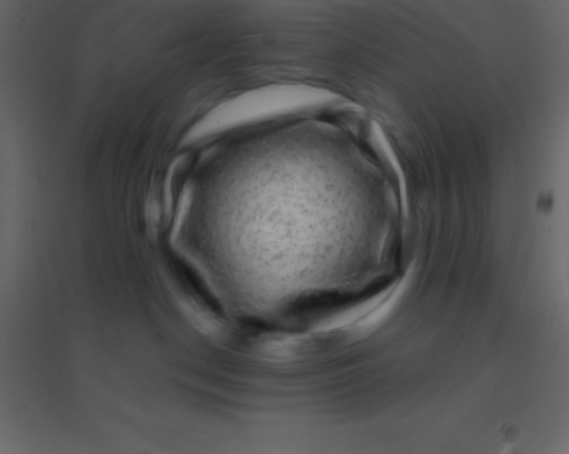 X0000094960190200712131653