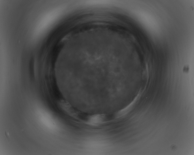 X0000094960191200712131653