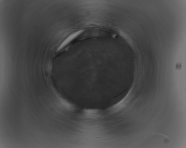 X0000094960192200712131653