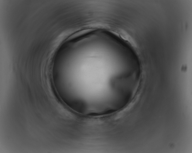 X0000094960193200712131653