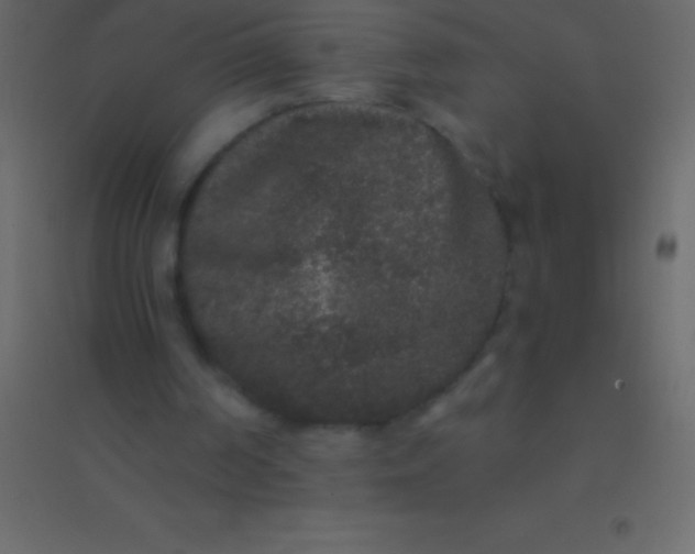 X0000094960194200712131653