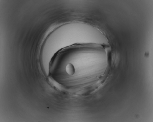 X0000094960195200712131653