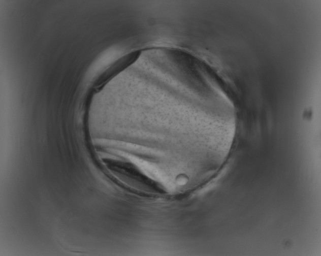 X0000094960197200712131653