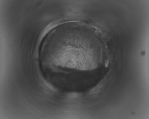 X0000094960198200712131653