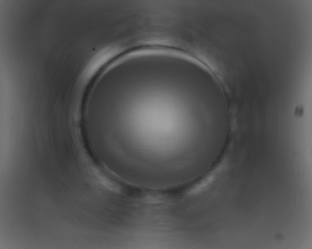 X0000094960199200712131653