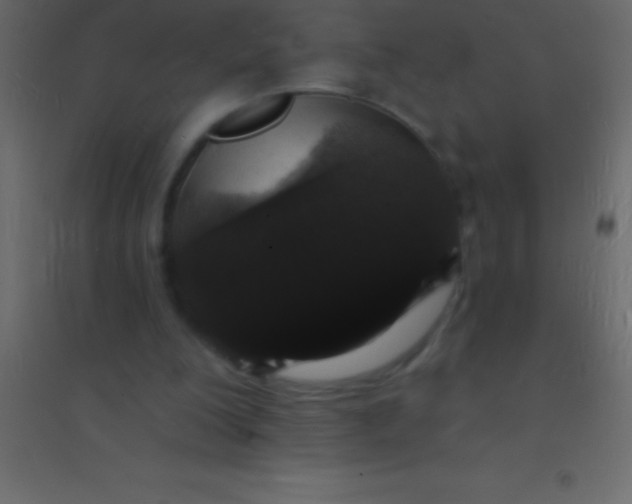 X0000094960200200712131653