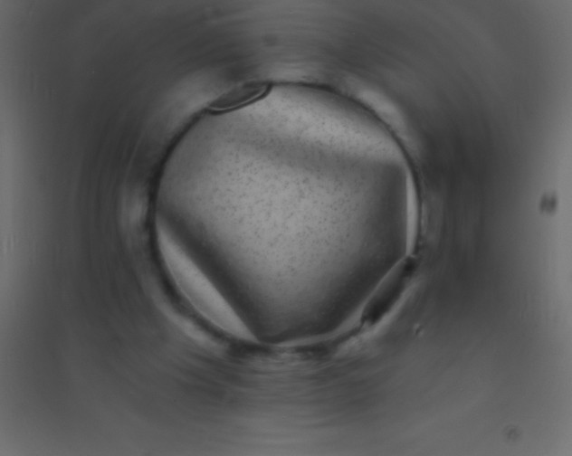 X0000094960201200712131653