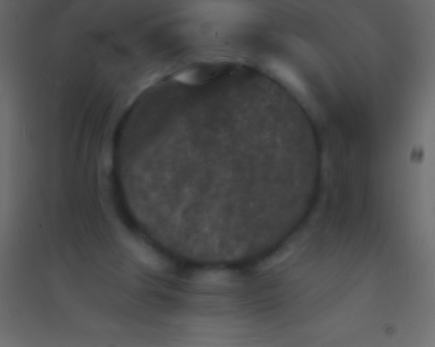 X0000094960202200712131652