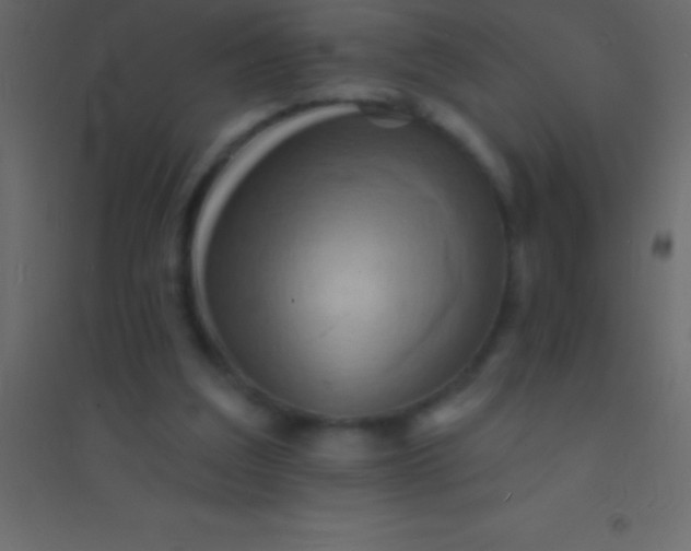 X0000094960203200712131652