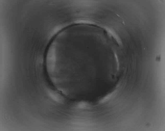 X0000094960204200712131652