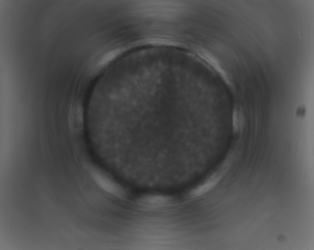 X0000094960205200712131652