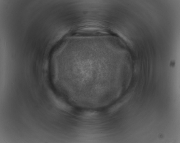 X0000094960206200712131652