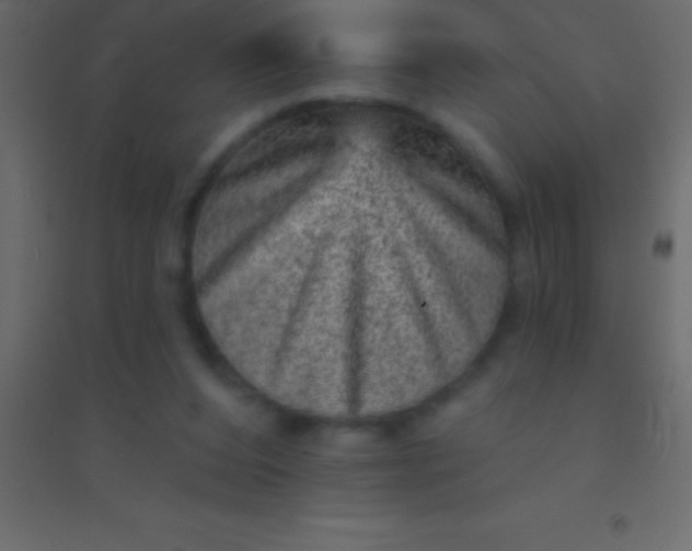 X0000094960208200712131652