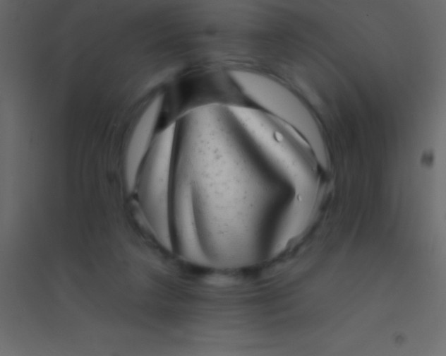 X0000094960211200712131652