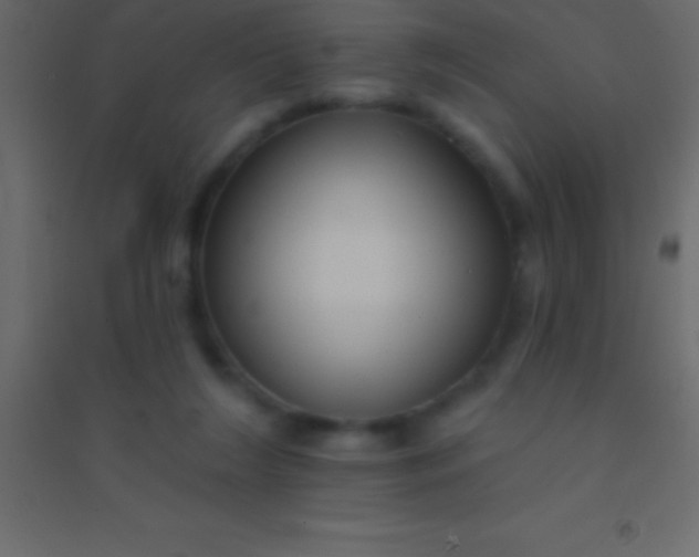 X0000094960212200712131652