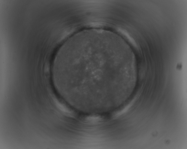 X0000094960213200712131652