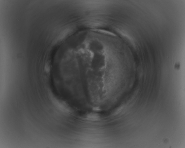 X0000094960214200712131652