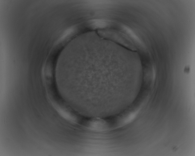 X0000094960215200712131652