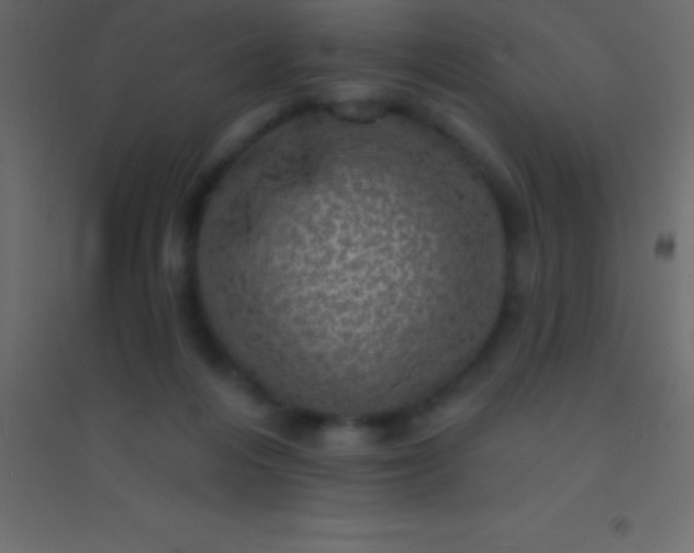 X0000094960216200712131652