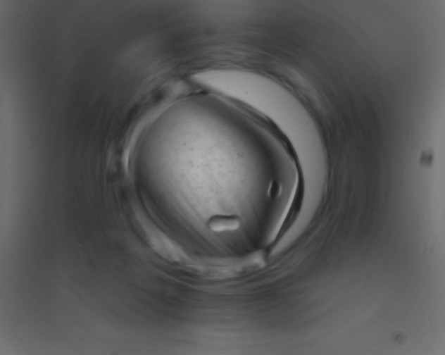 X0000094960217200712131652