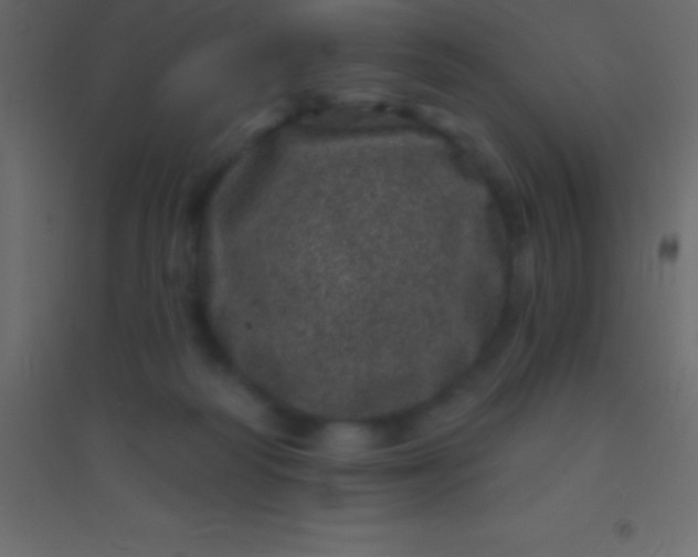 X0000094960218200712131652