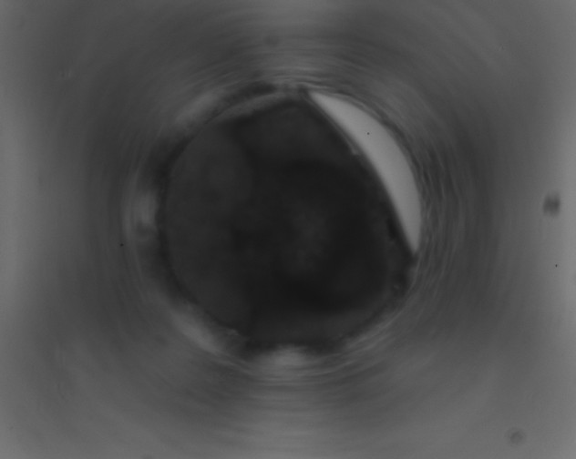 X0000094960219200712131652