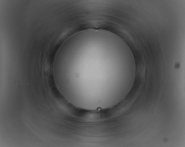 X0000094960220200712131652