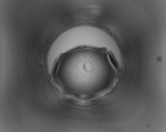 X0000094960221200712131652