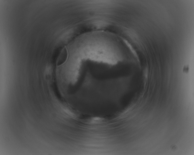 X0000094960222200712131652