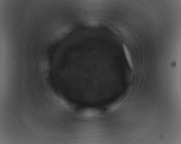 X0000094960223200712131652