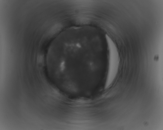 X0000094960224200712131652