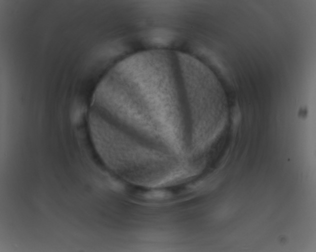 X0000094960225200712131652