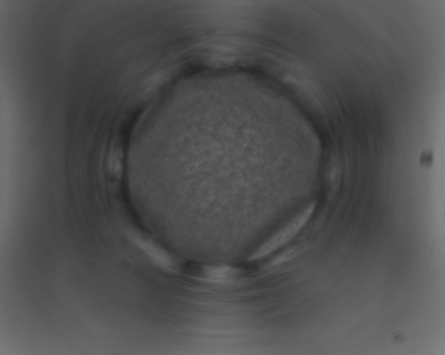 X0000094960226200712131652