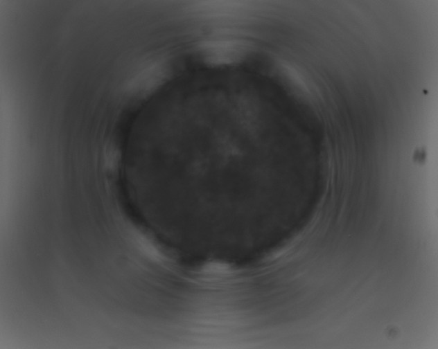 X0000094960227200712131652