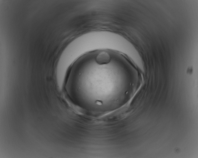 X0000094960228200712131652