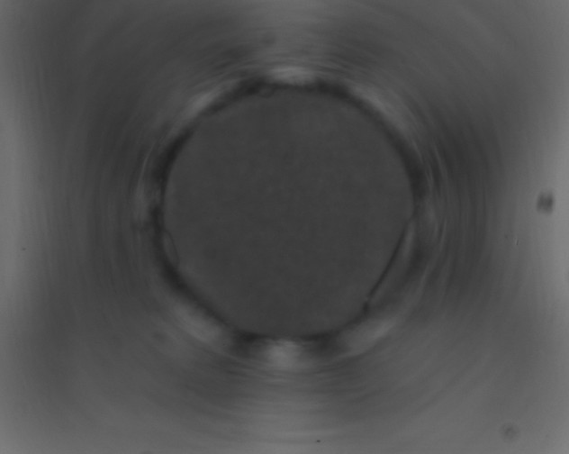 X0000094960229200712131652