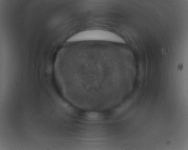 X0000094960230200712131652