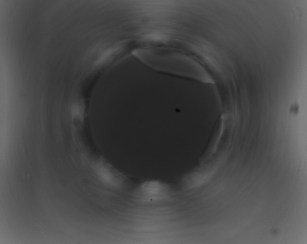 X0000094960231200712131652