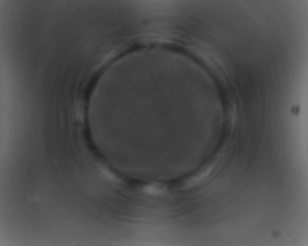 X0000094960232200712131652