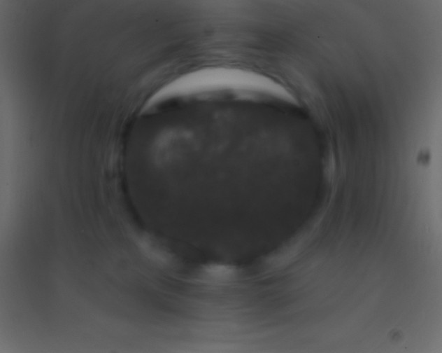 X0000094960233200712131652