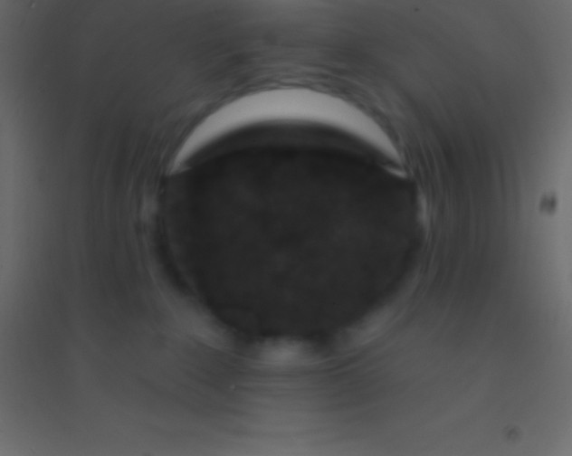 X0000094960235200712131652