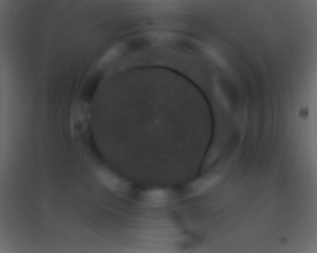 X0000094960237200712131652