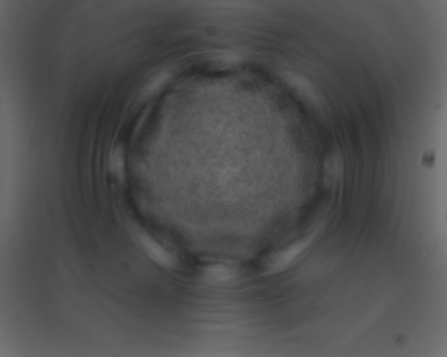 X0000094960238200712131652