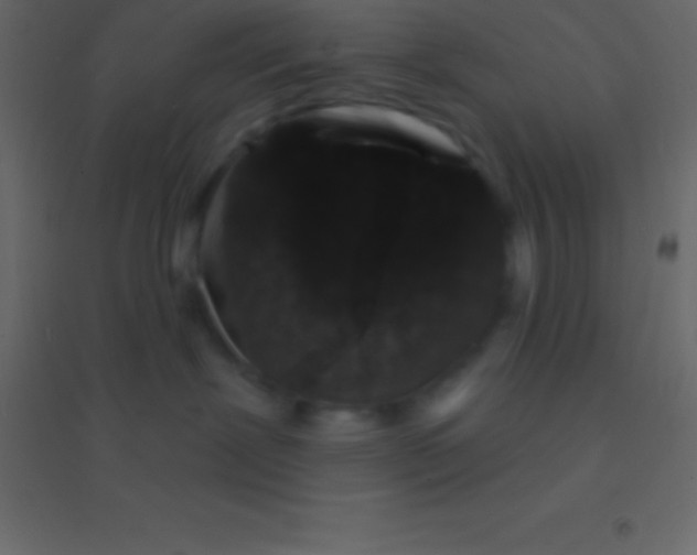 X0000094960239200712131652