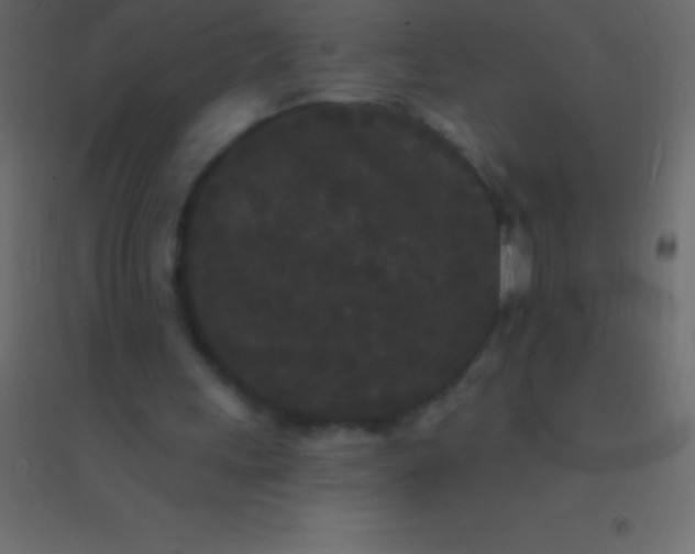 X0000094960243200712131651