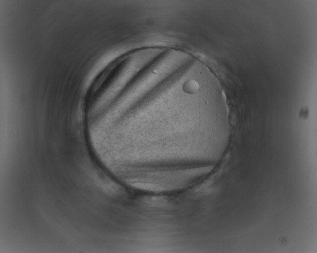 X0000094960244200712131651