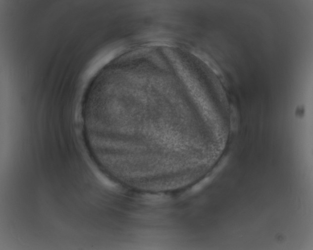 X0000094960245200712131651