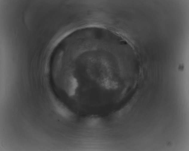 X0000094960247200712131651