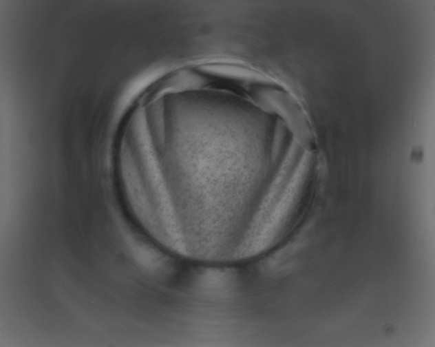 X0000094960248200712131651