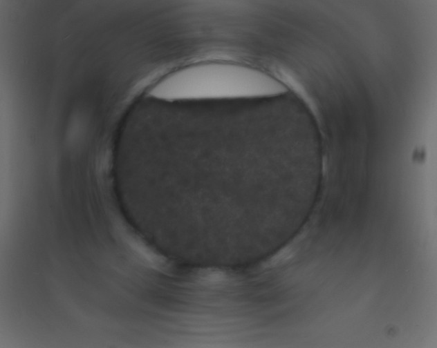 X0000094960249200712131651